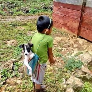 Meet your Posher, Yoni ponce